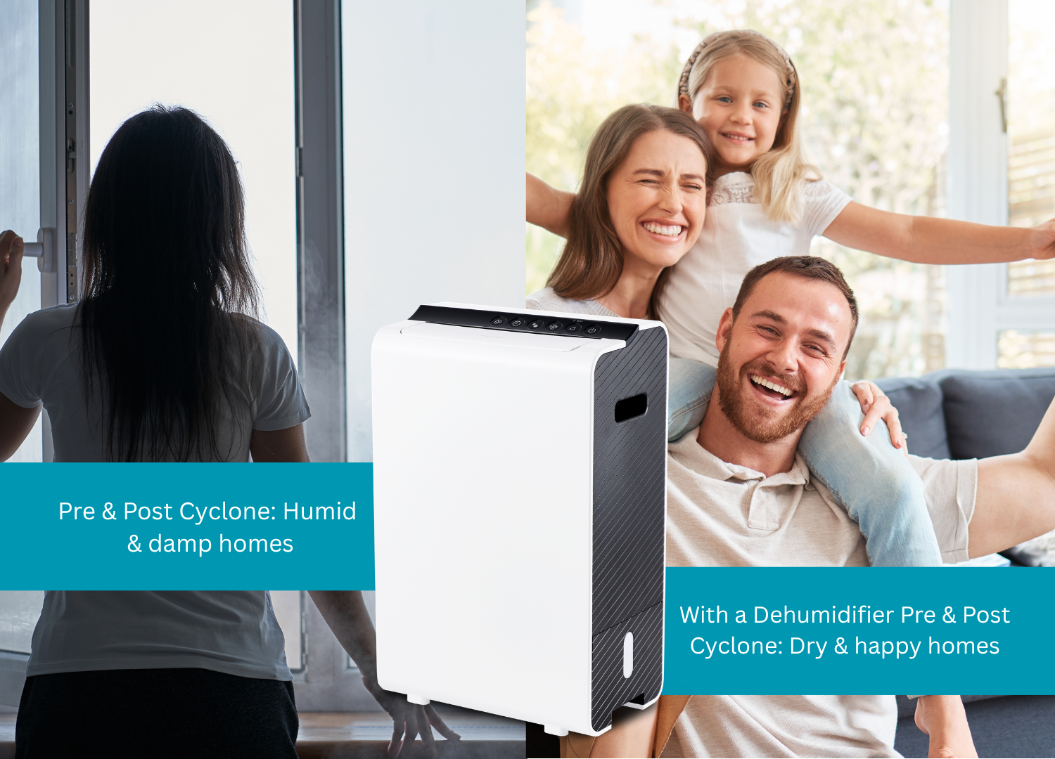 Why Your Home Needs a Dehumidifier Post-Cyclone