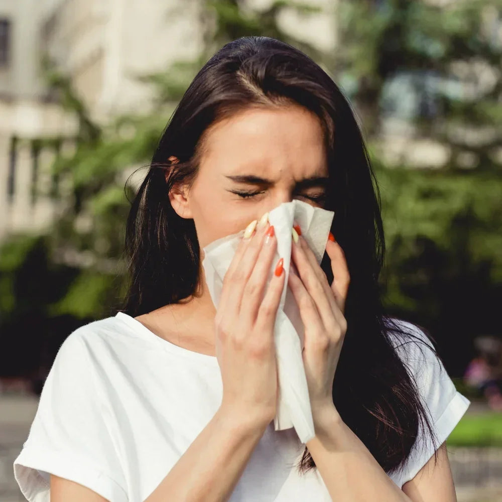 Pollen Season in New Zealand: How to Keep Your Home Allergy-Free