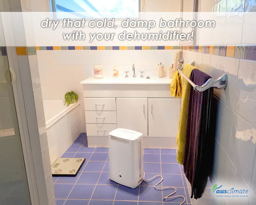 Desiccant Dehumidifier Bathroom Drying Guide & Tips