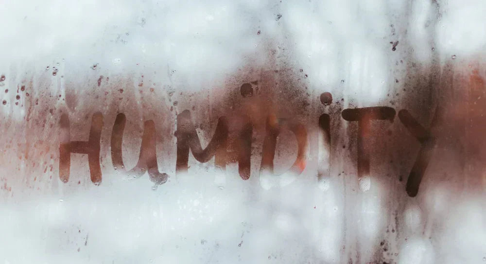 Why Does My Home Feel Damp? - Understanding Humidity in Australia and New Zealand