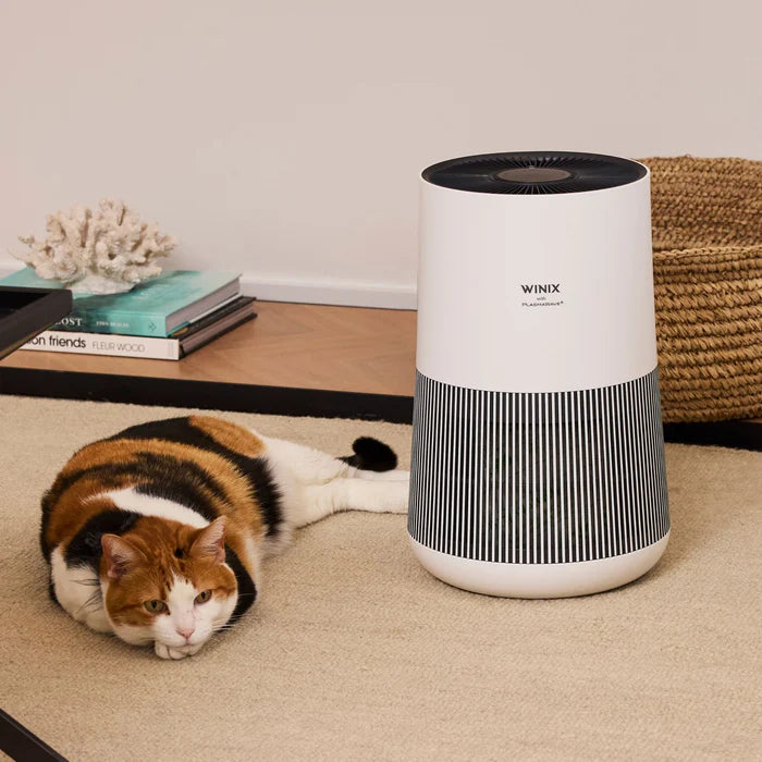 Compact 360 5-Stage Air Purifier