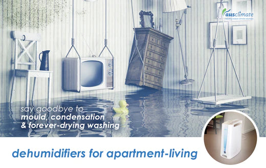 Dehumidifiers for Apartment Living