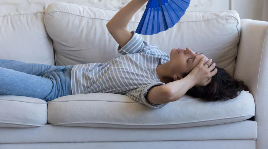 Top 5 Signs Your Home Needs a Dehumidifier