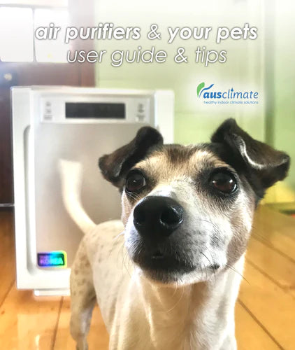 WINIX Air Purifiers and Your Pets