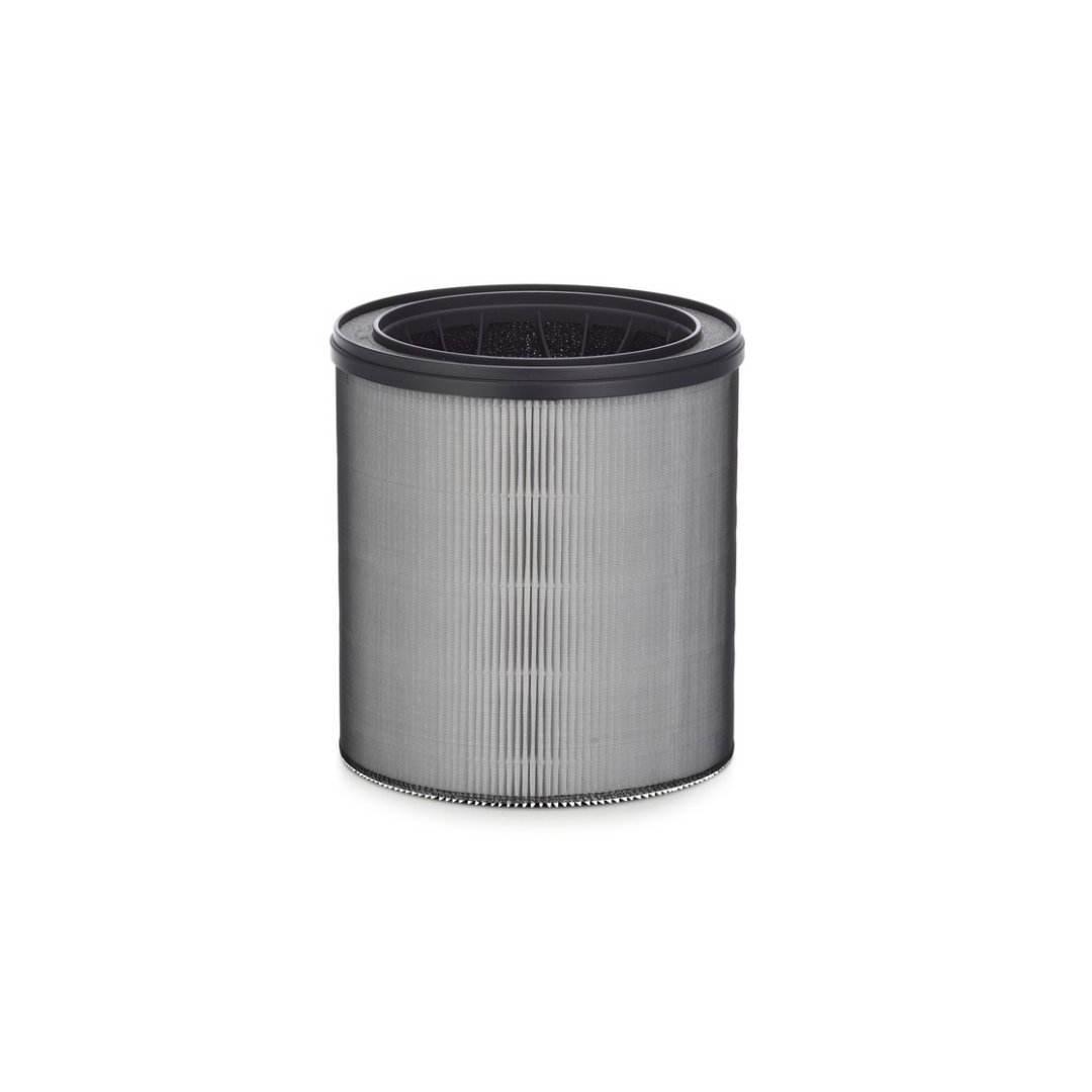 True Hepa 4-Stage Air Purifier with Bonus Filter