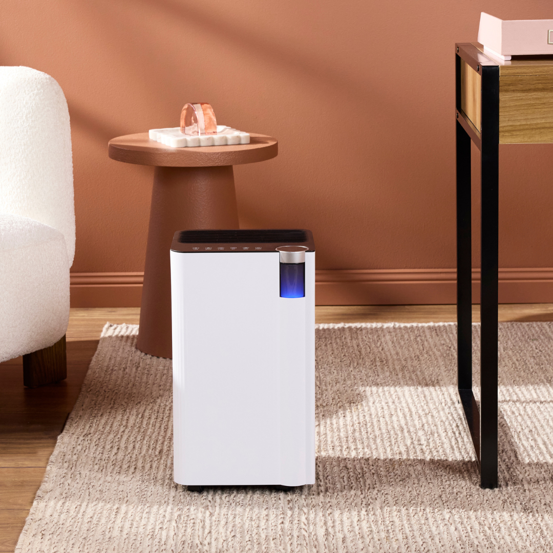 Compact 12L Dehumidifier with Wi-Fi