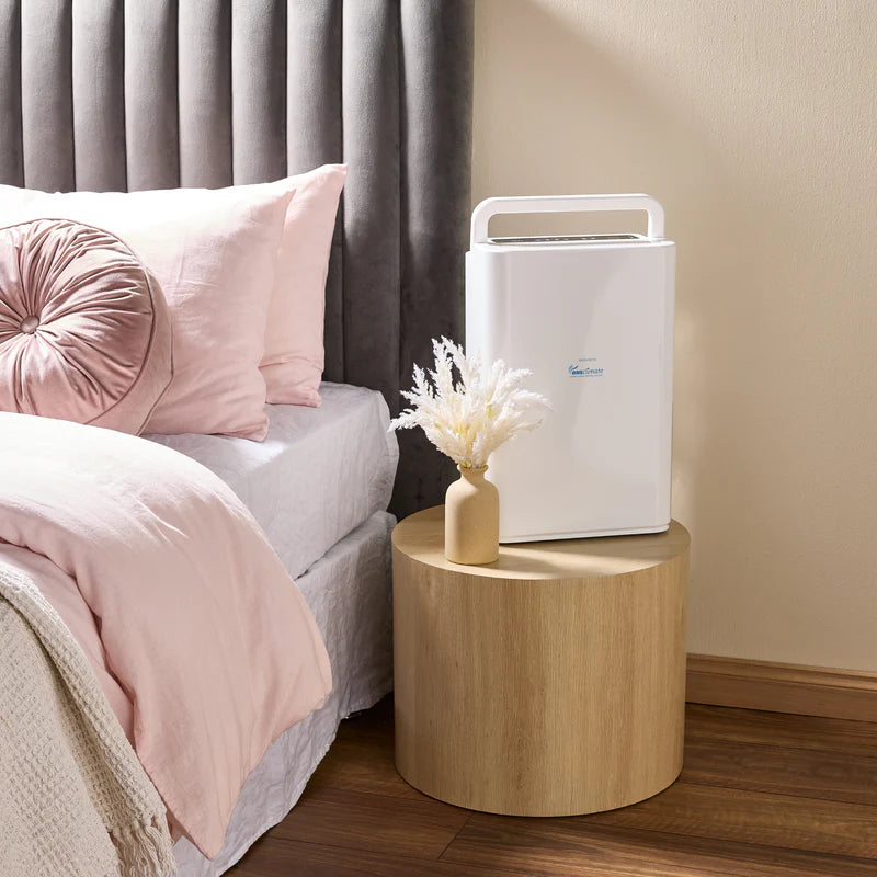 Compact 12L Dehumidifier